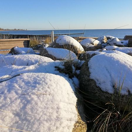Ferienwohnung "Luv" Grube Ostsee المظهر الخارجي الصورة