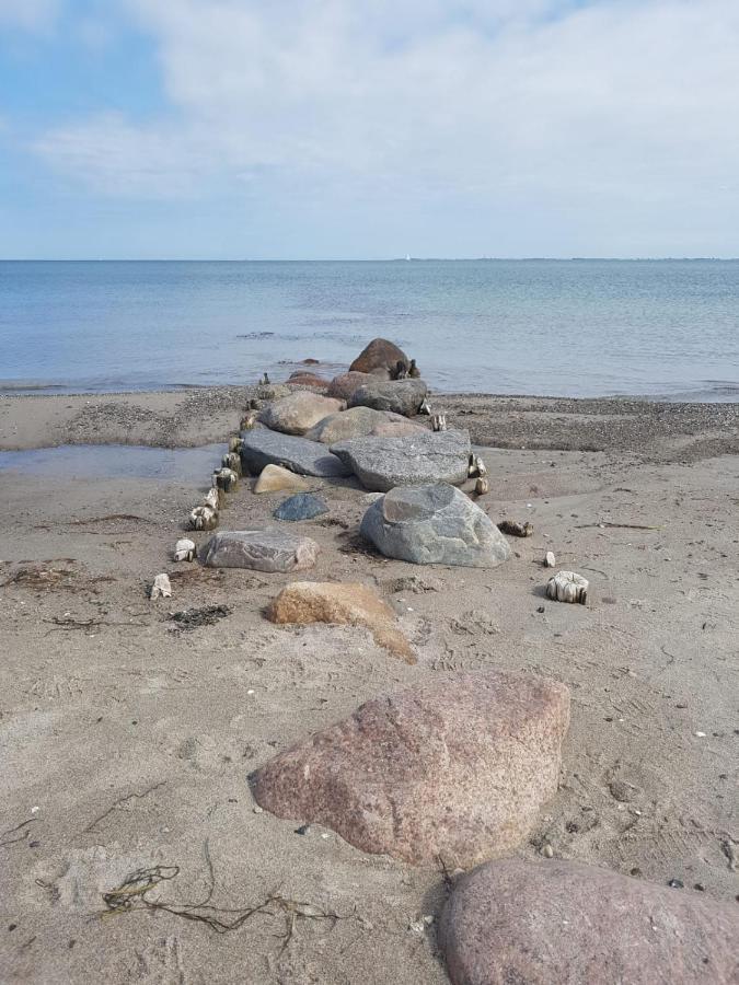 Ferienwohnung "Luv" Grube Ostsee المظهر الخارجي الصورة