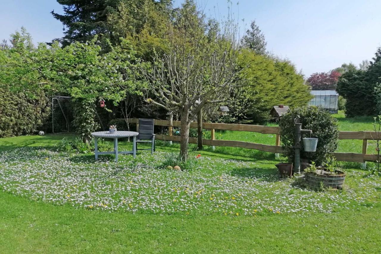 Ferienwohnung "Luv" Grube Ostsee المظهر الخارجي الصورة