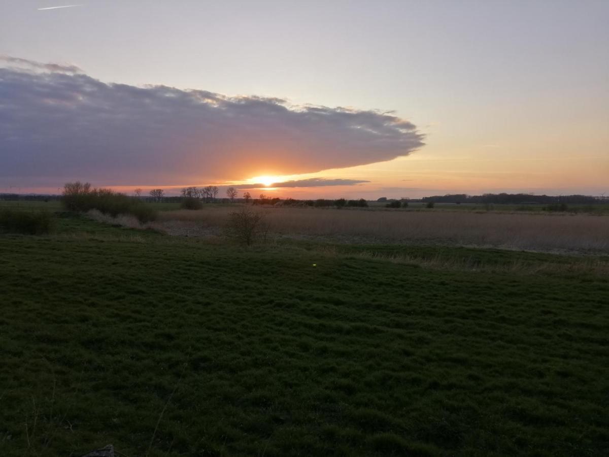 Ferienwohnung "Luv" Grube Ostsee المظهر الخارجي الصورة