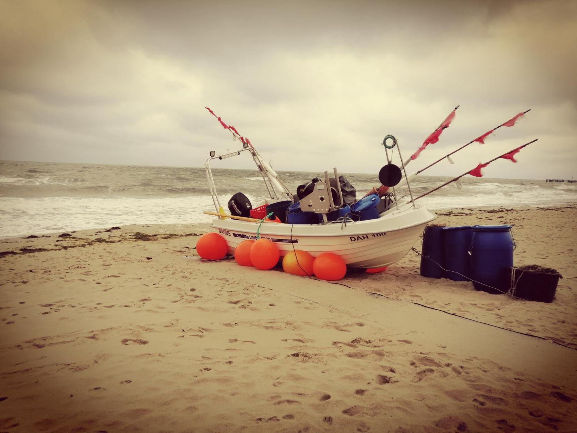 Ferienwohnung "Luv" Grube Ostsee المظهر الخارجي الصورة